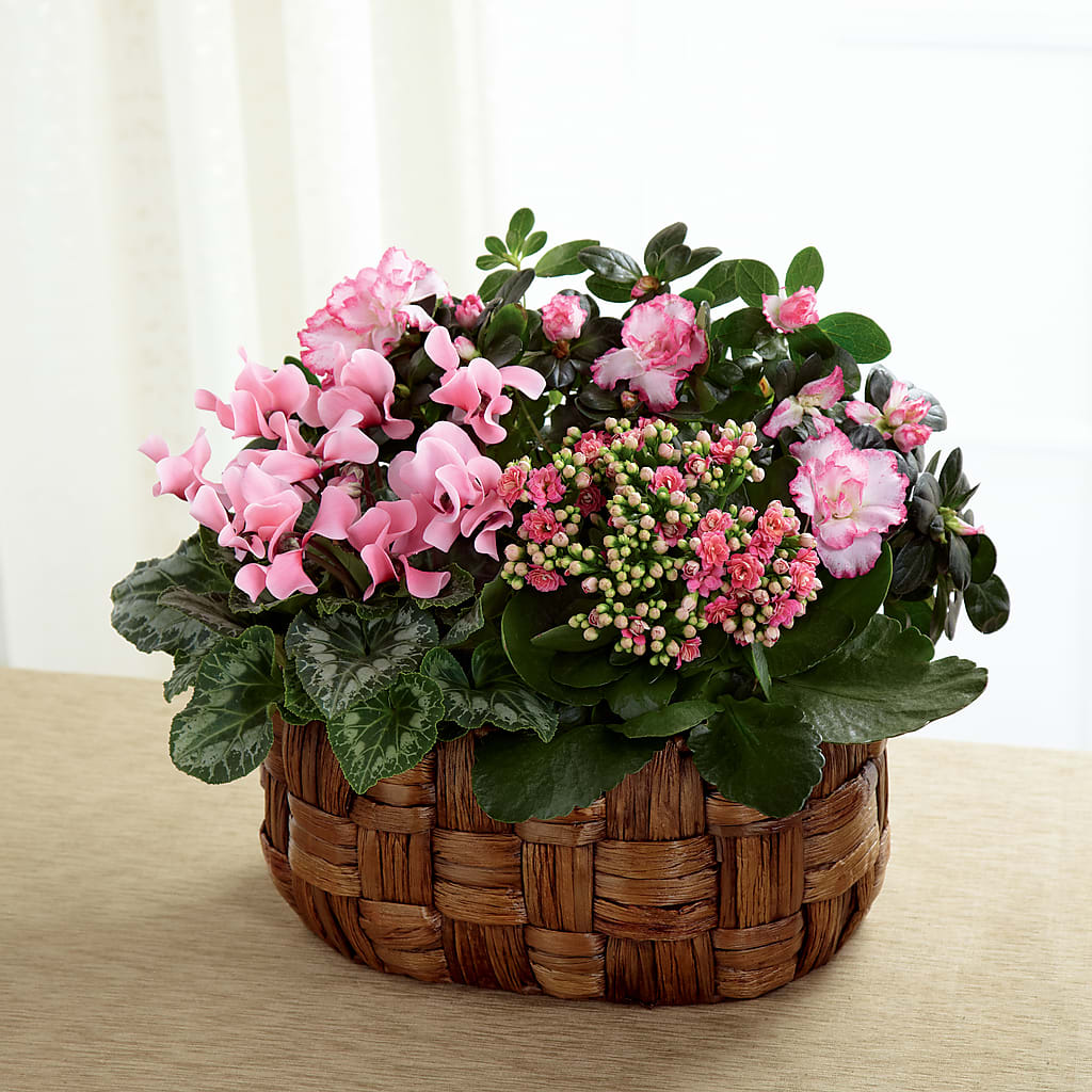 Pink Assortment – A La Rose, Rock Hill SC