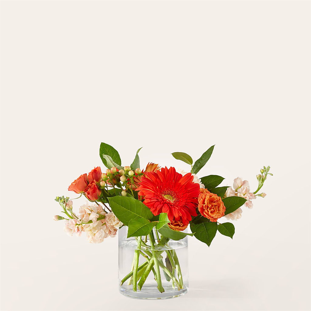 Paloma Please Bouquet – A La Rose, Rock Hill SC