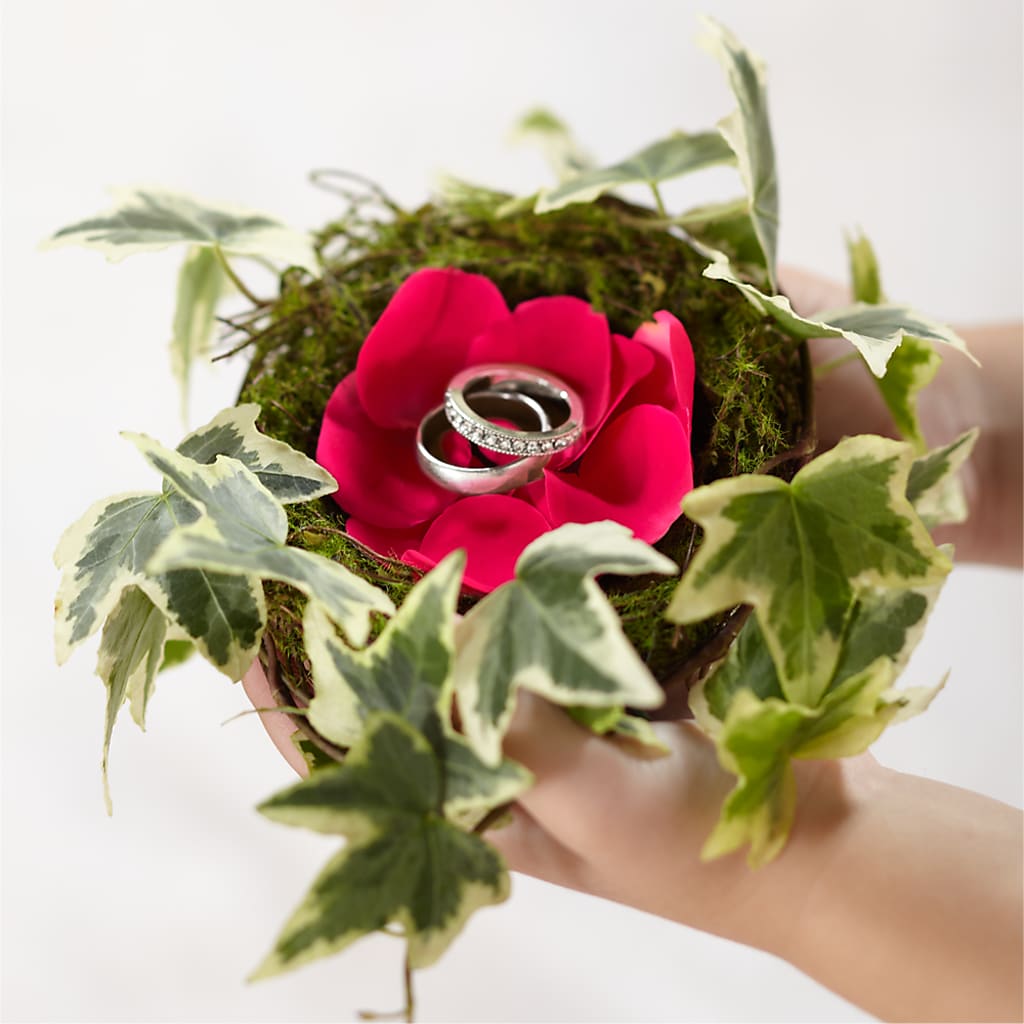 Lila Rose Ring Nest – A La Rose, Rock Hill SC