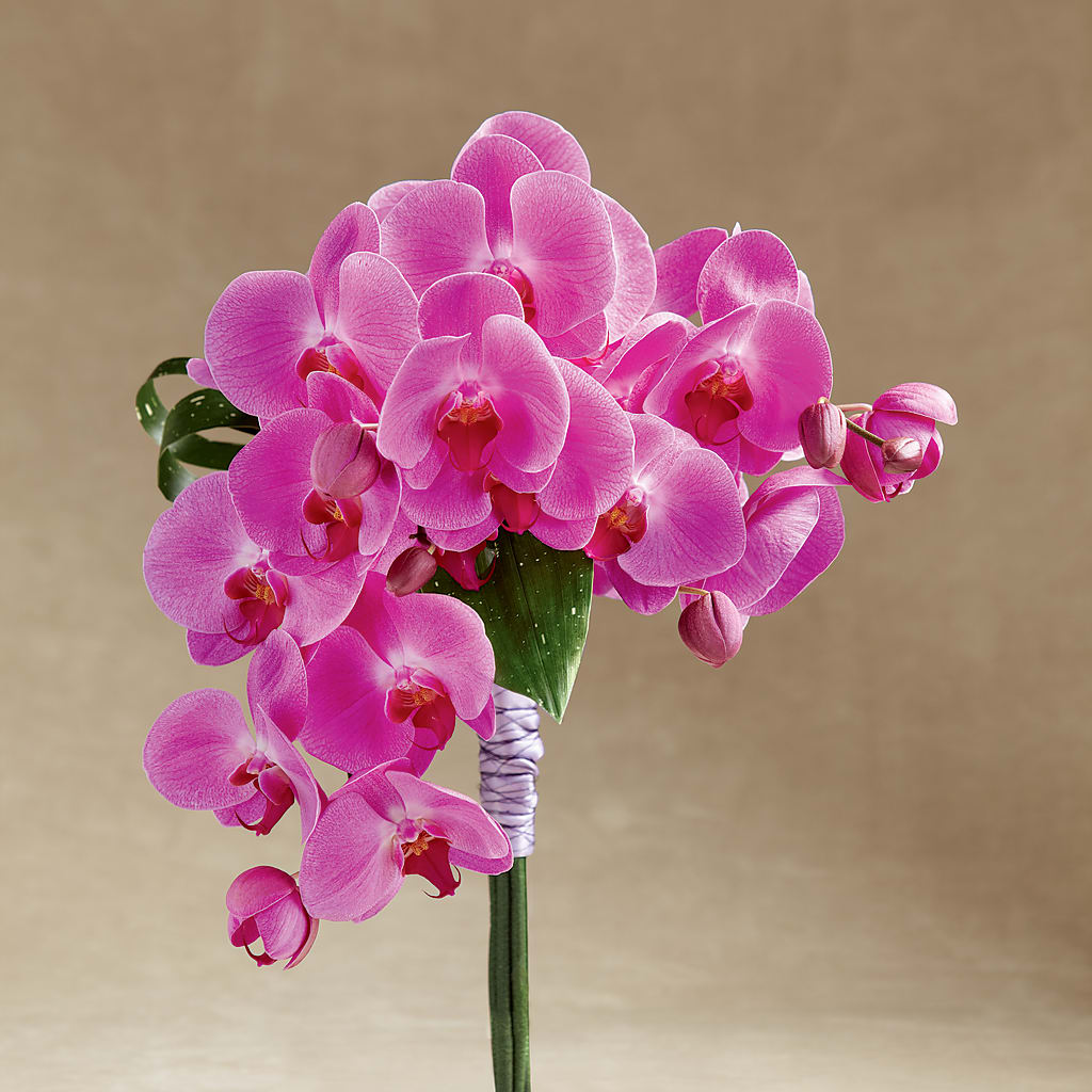 Glorious Bouquet – A La Rose, Rock Hill SC