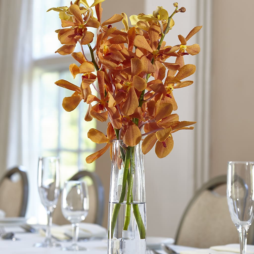 Orange Mokara Bud Vase – A La Rose, Rock Hill SC