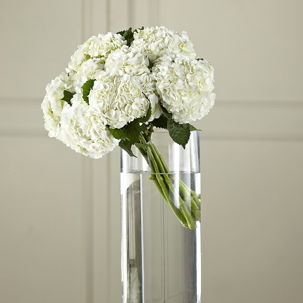 White Hydrangea Hand-Tied Bouquet – A La Rose, Rock Hill SC