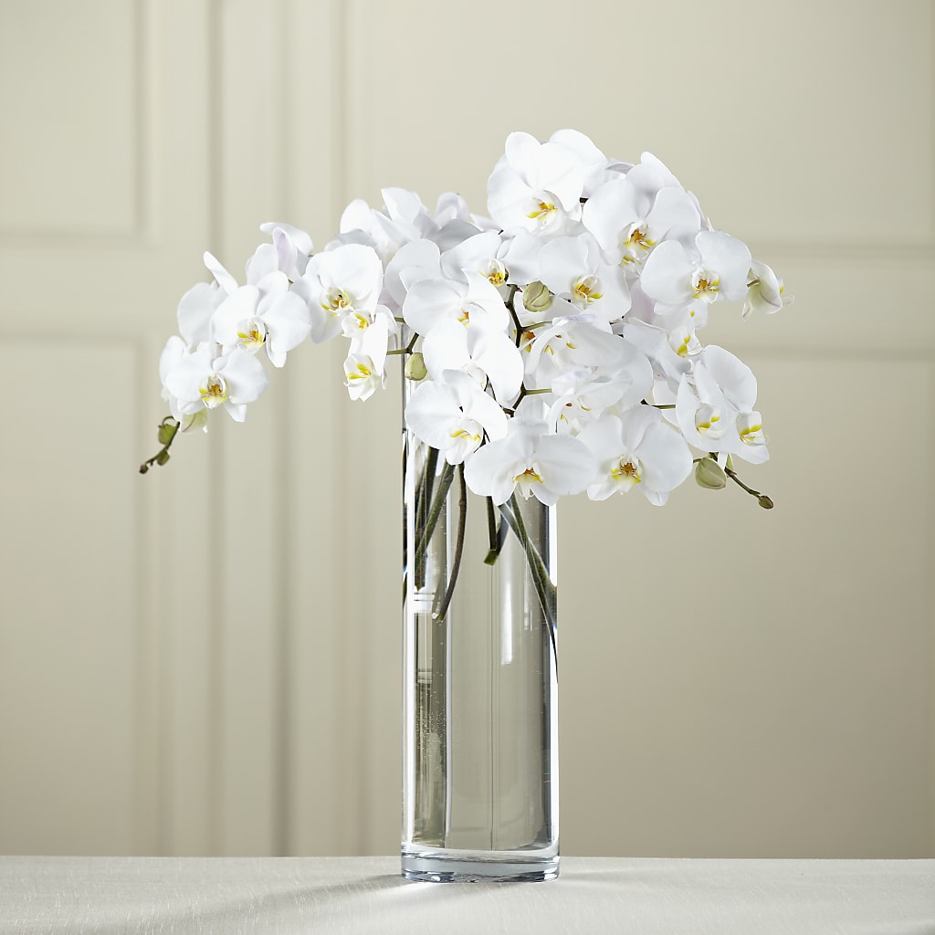 White Phalaenopsis Bouquet – A La Rose, Rock Hill SC