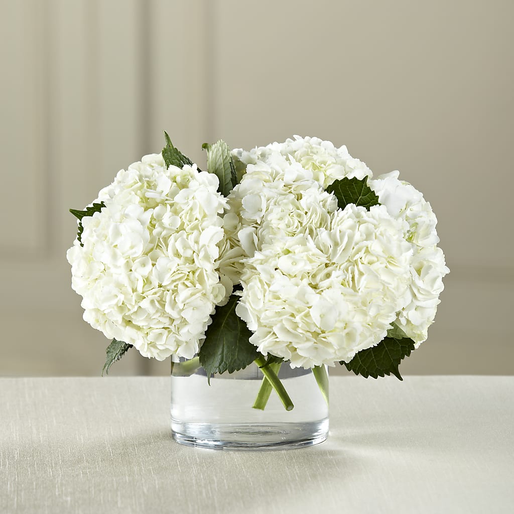 White Hydrangea Bouquet – A La Rose, Rock Hill SC