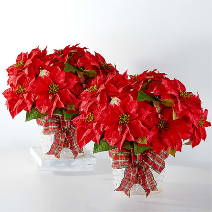 Happiest Holidays Poinsettia Bundle –  A La Rose, Rock Hill SC
