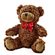 Adorable Plush Bear –  A La Rose, Rock Hill SC
