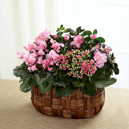 Pink Assortment –  A La Rose, Rock Hill SC