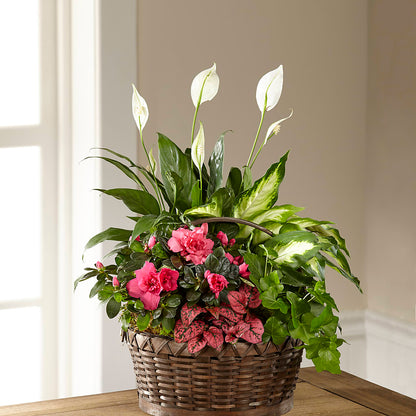 Dream in Pink Dishgarden –  A La Rose, Rock Hill SC