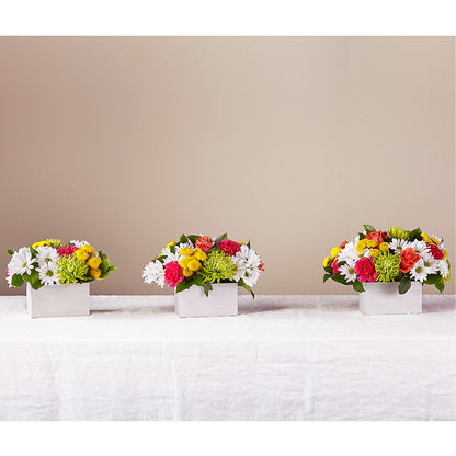 Sorbet Bouquet –  A La Rose, Rock Hill SC