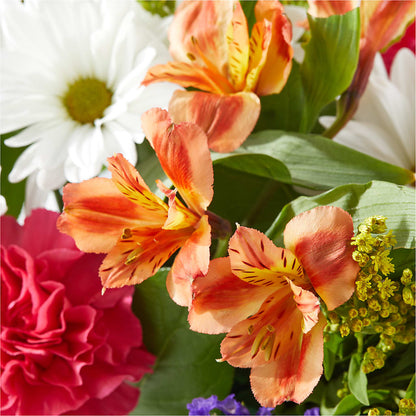 Oopsie Daisy Box Bouquet –  A La Rose, Rock Hill SC