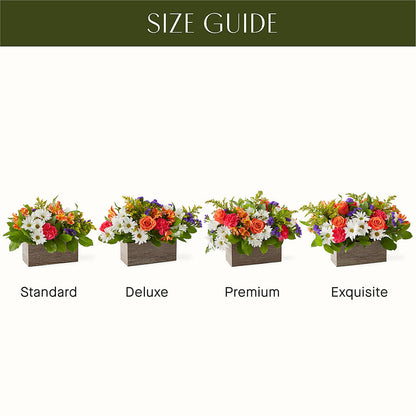 Oopsie Daisy Box Bouquet –  A La Rose, Rock Hill SC