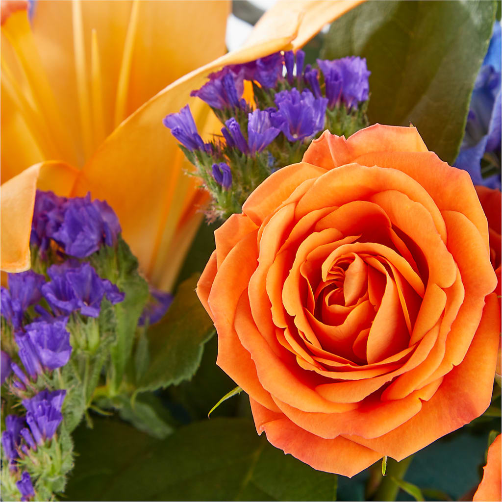 Radiant Citrus Box Bouquet –  A La Rose, Rock Hill SC