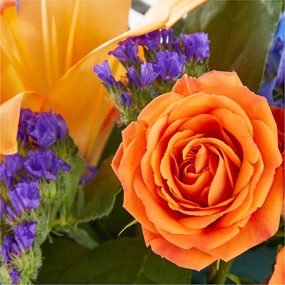 Radiant Citrus Box Bouquet –  A La Rose, Rock Hill SC