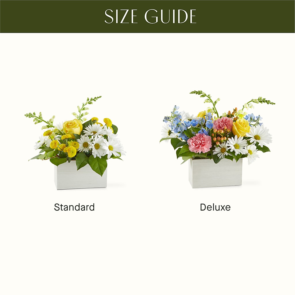 Sun Salutation Box Bouquet –  A La Rose, Rock Hill SC