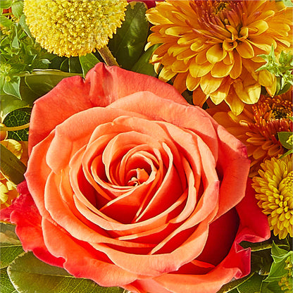 Gourdgeous Pumpkin –  A La Rose, Rock Hill SC