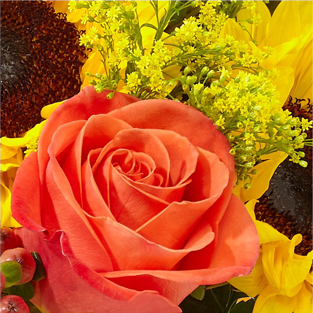 Pick of the Patch Pumpkin Bouquet –  A La Rose, Rock Hill SC
