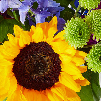 Catching Rays Bouquet –  A La Rose, Rock Hill SC