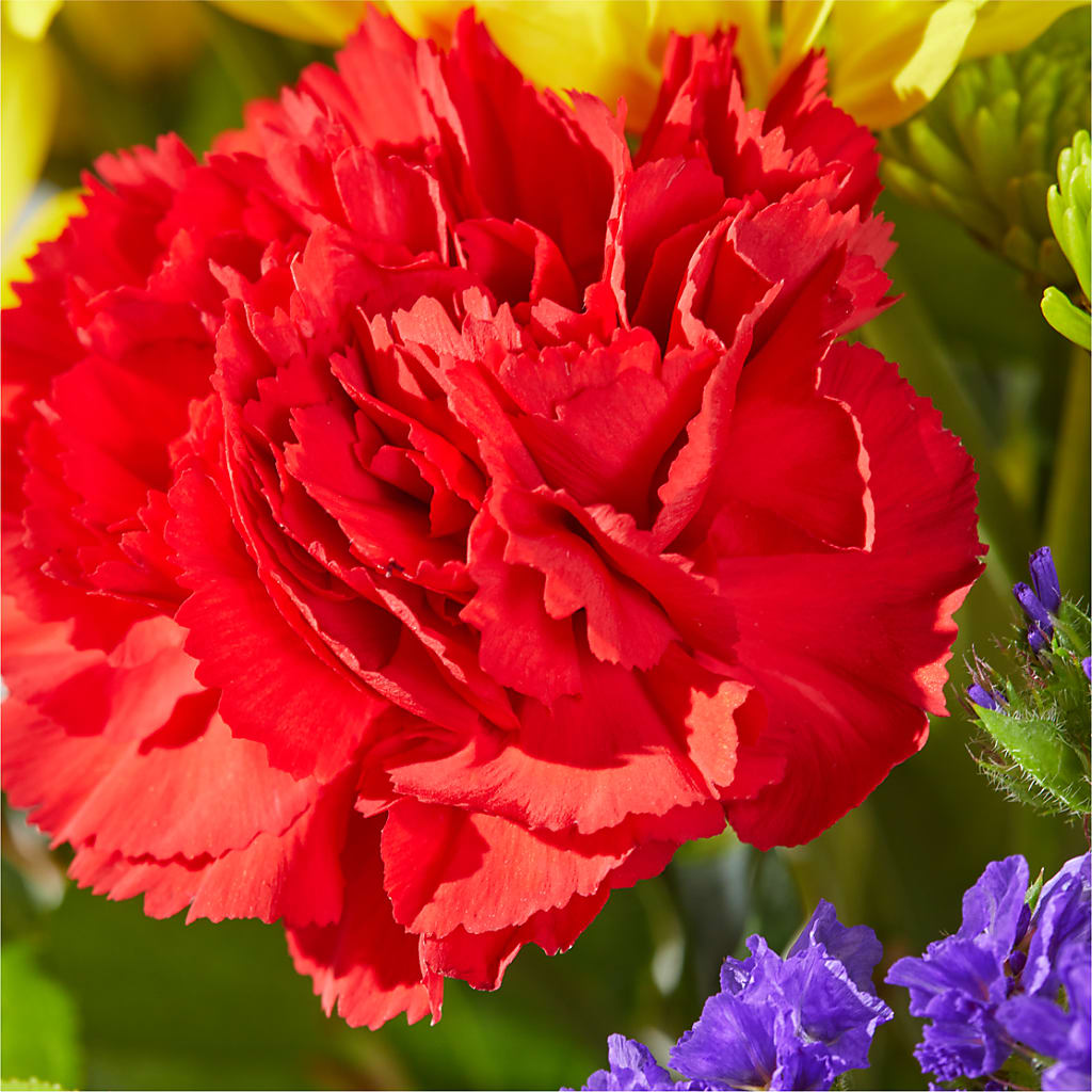 Brighter Days Bouquet –  A La Rose, Rock Hill SC