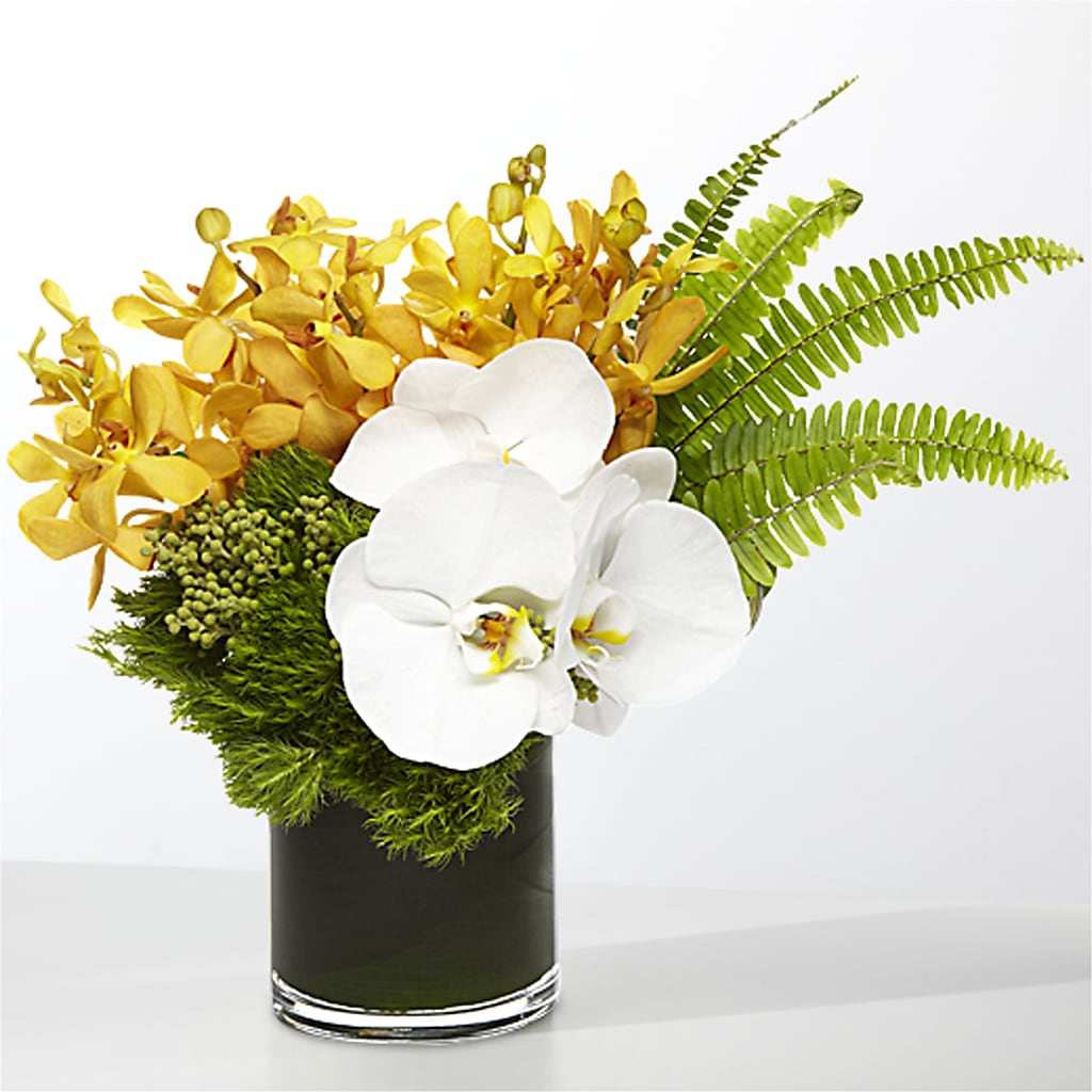The Tropics –  A La Rose, Rock Hill SC