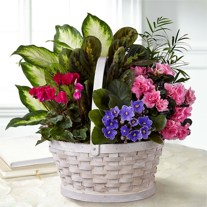 Peaceful Garden Planter –  A La Rose, Rock Hill SC