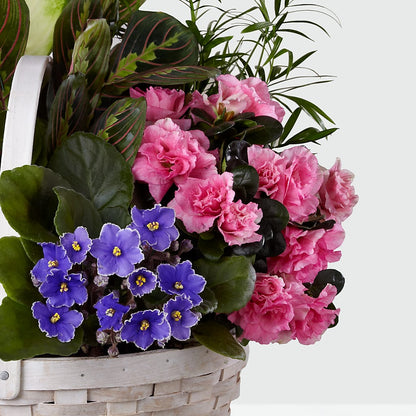 Peaceful Garden Planter –  A La Rose, Rock Hill SC