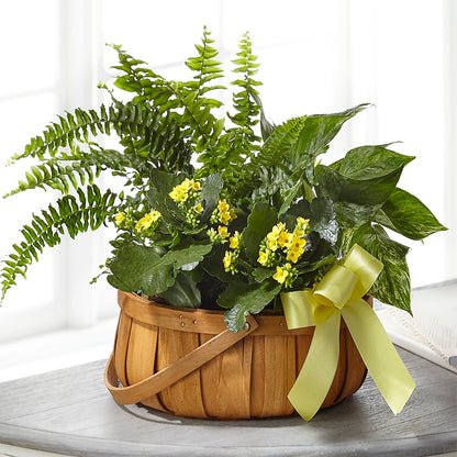 Always Dear Dishgarden –  A La Rose, Rock Hill SC