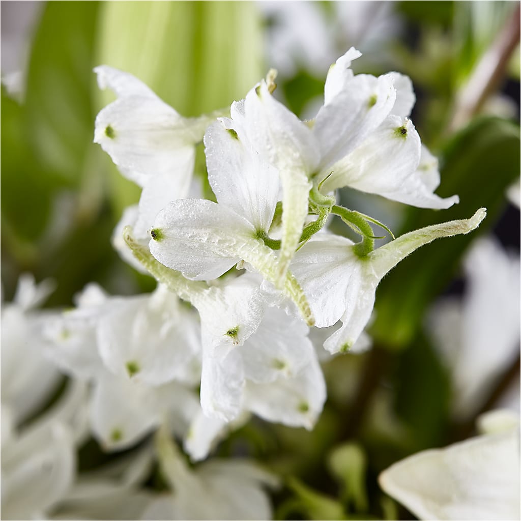 Classic Ivory – A Florist Original –  A La Rose, Rock Hill SC