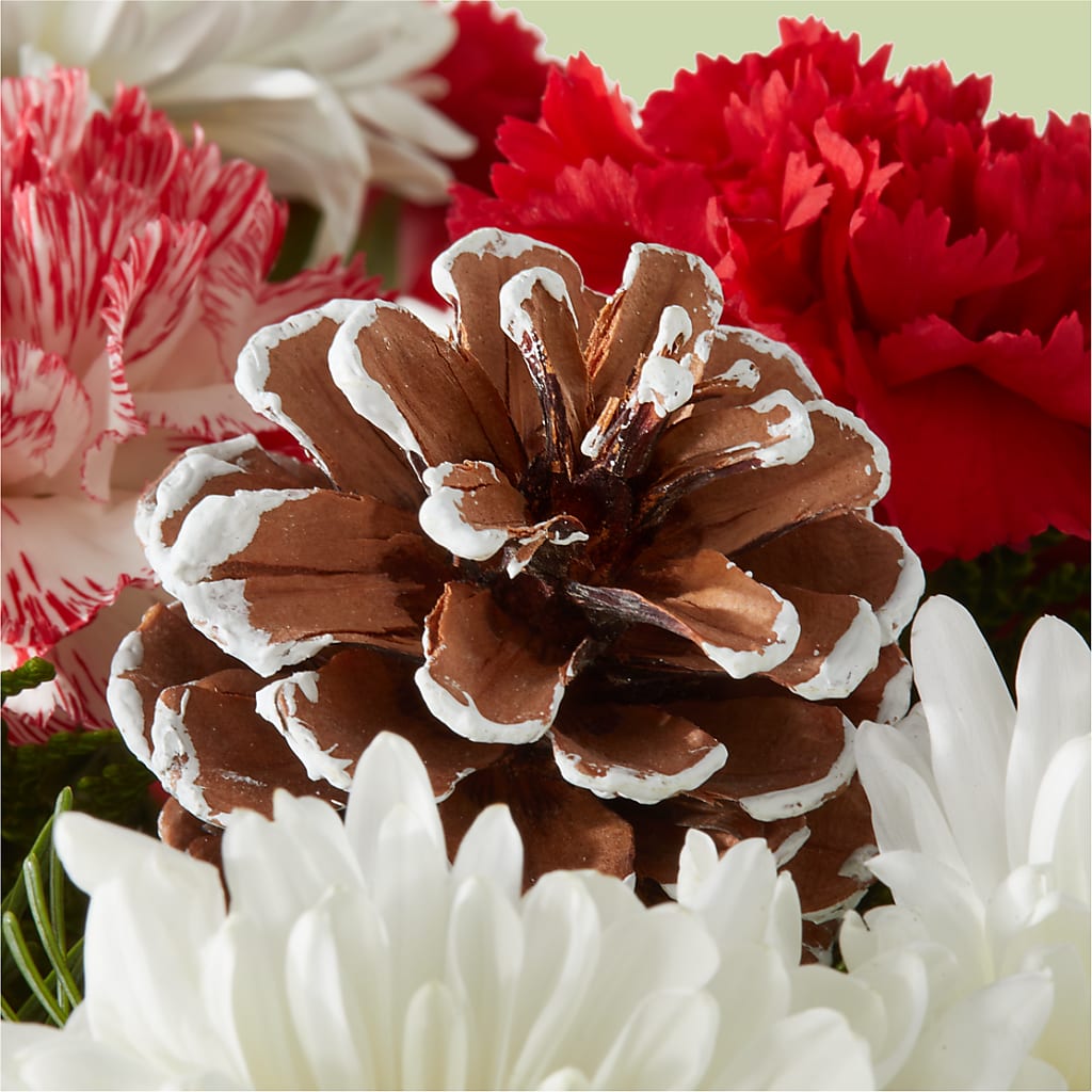 Candy Cane Lane Bouquet –  A La Rose, Rock Hill SC