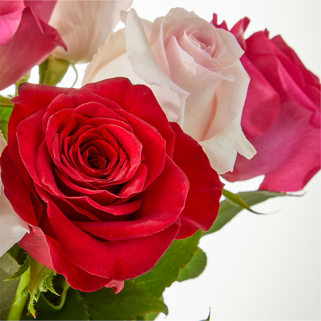 Charming Rose Bouquet –  A La Rose, Rock Hill SC