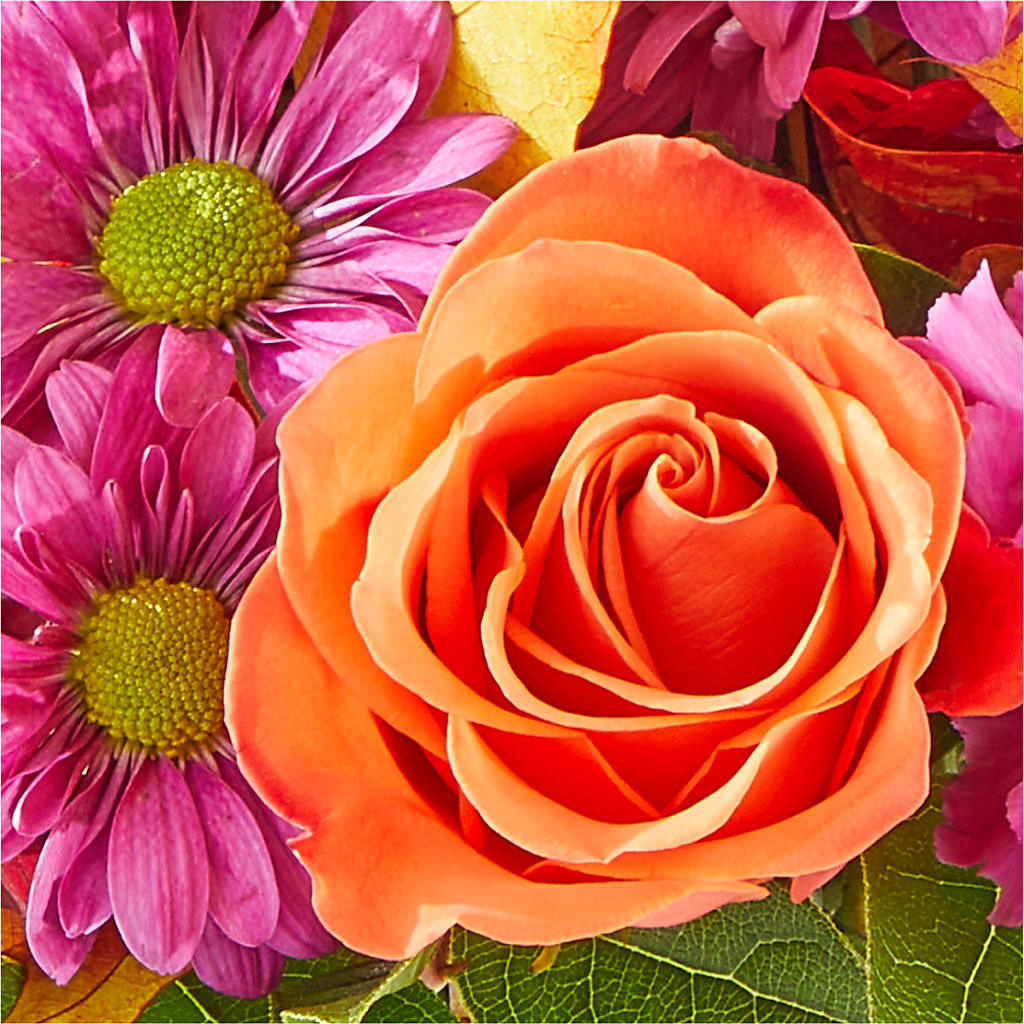 Mum's the Word Bouquet –  A La Rose, Rock Hill SC