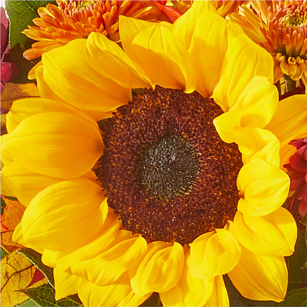 Sunny Side Bouquet –  A La Rose, Rock Hill SC
