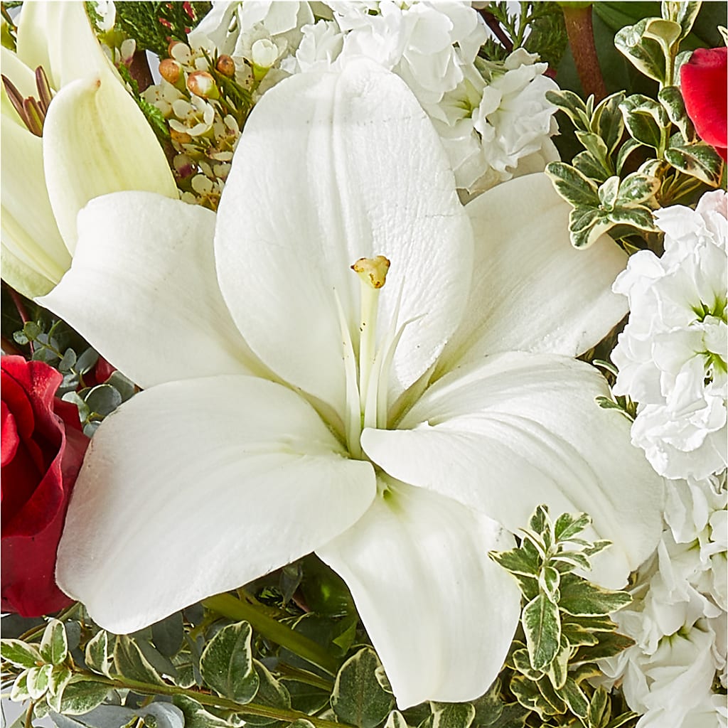 Twinkle Lights Bouquet –  A La Rose, Rock Hill SC