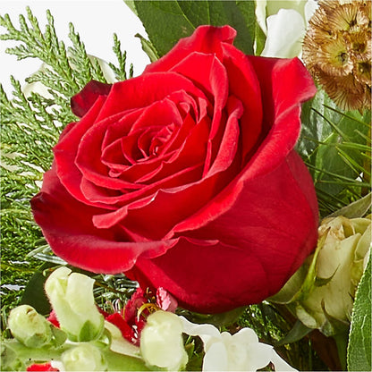 Deck the Halls Bouquet –  A La Rose, Rock Hill SC
