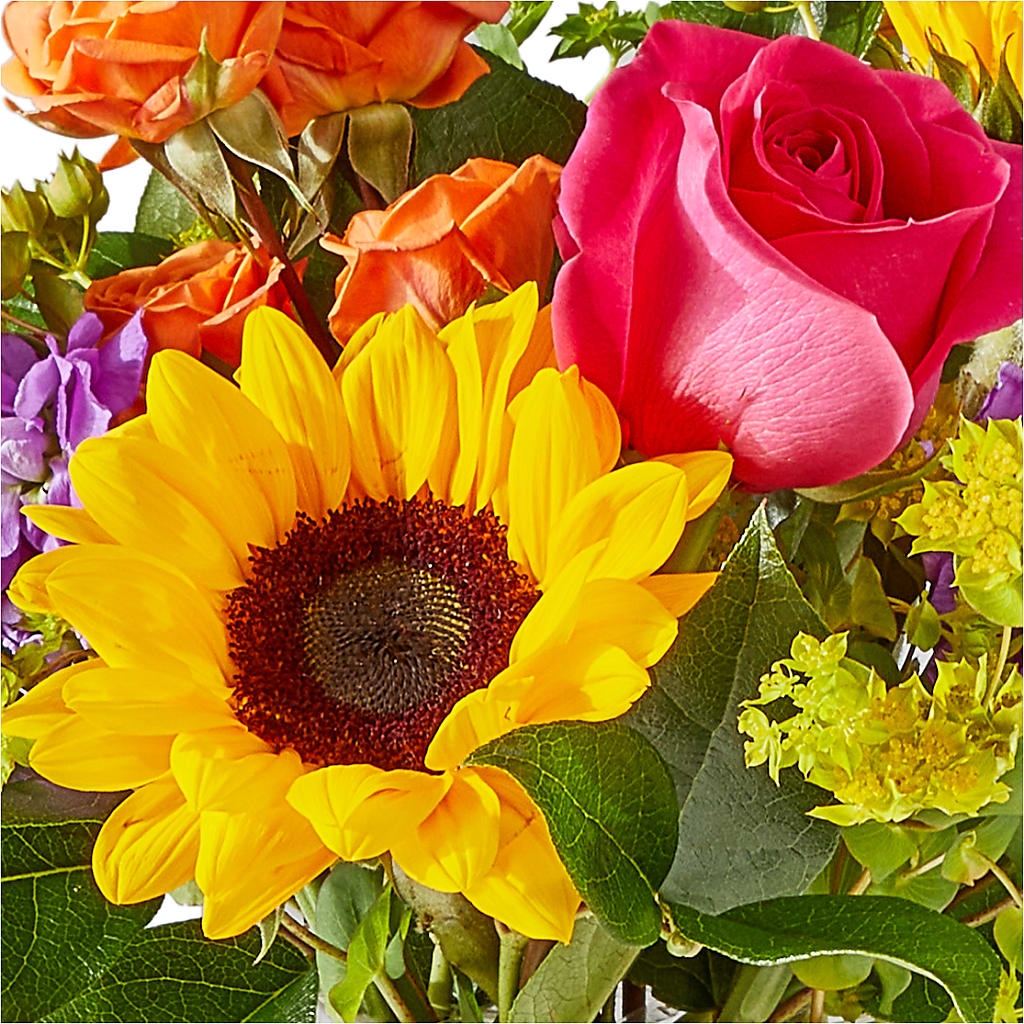 Vibrant Greetings Bouquet –  A La Rose, Rock Hill SC