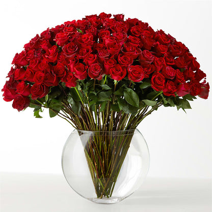 The Idealist –  A La Rose, Rock Hill SC