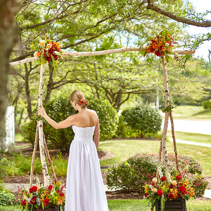Arbor of Love Archway –  A La Rose, Rock Hill SC