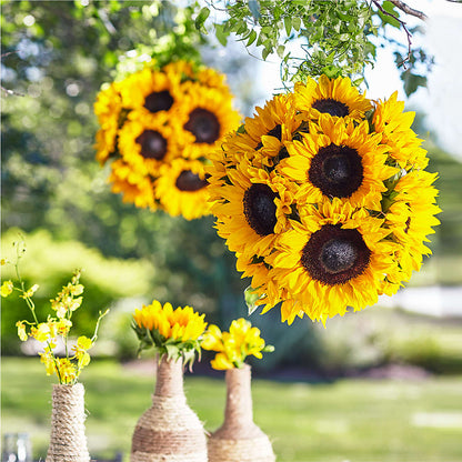 Sublime Garden Hanging Arrangement –  A La Rose, Rock Hill SC