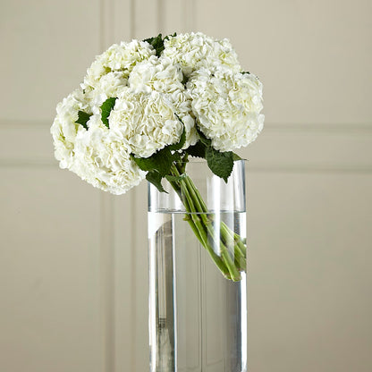 White Hydrangea Hand-Tied Bouquet –  A La Rose, Rock Hill SC