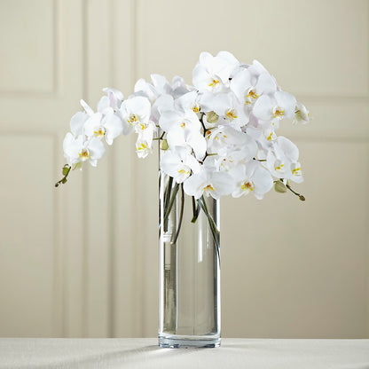 White Phalaenopsis Bouquet –  A La Rose, Rock Hill SC